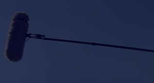 Category Banner